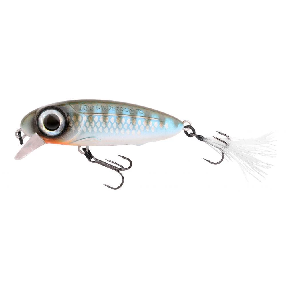 Herring