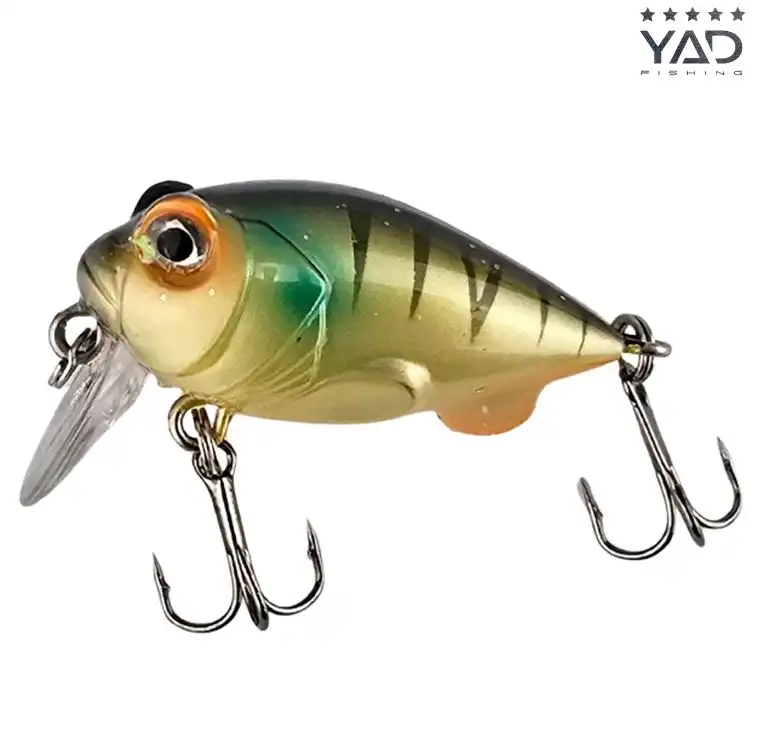 Amber Stripe Yellow