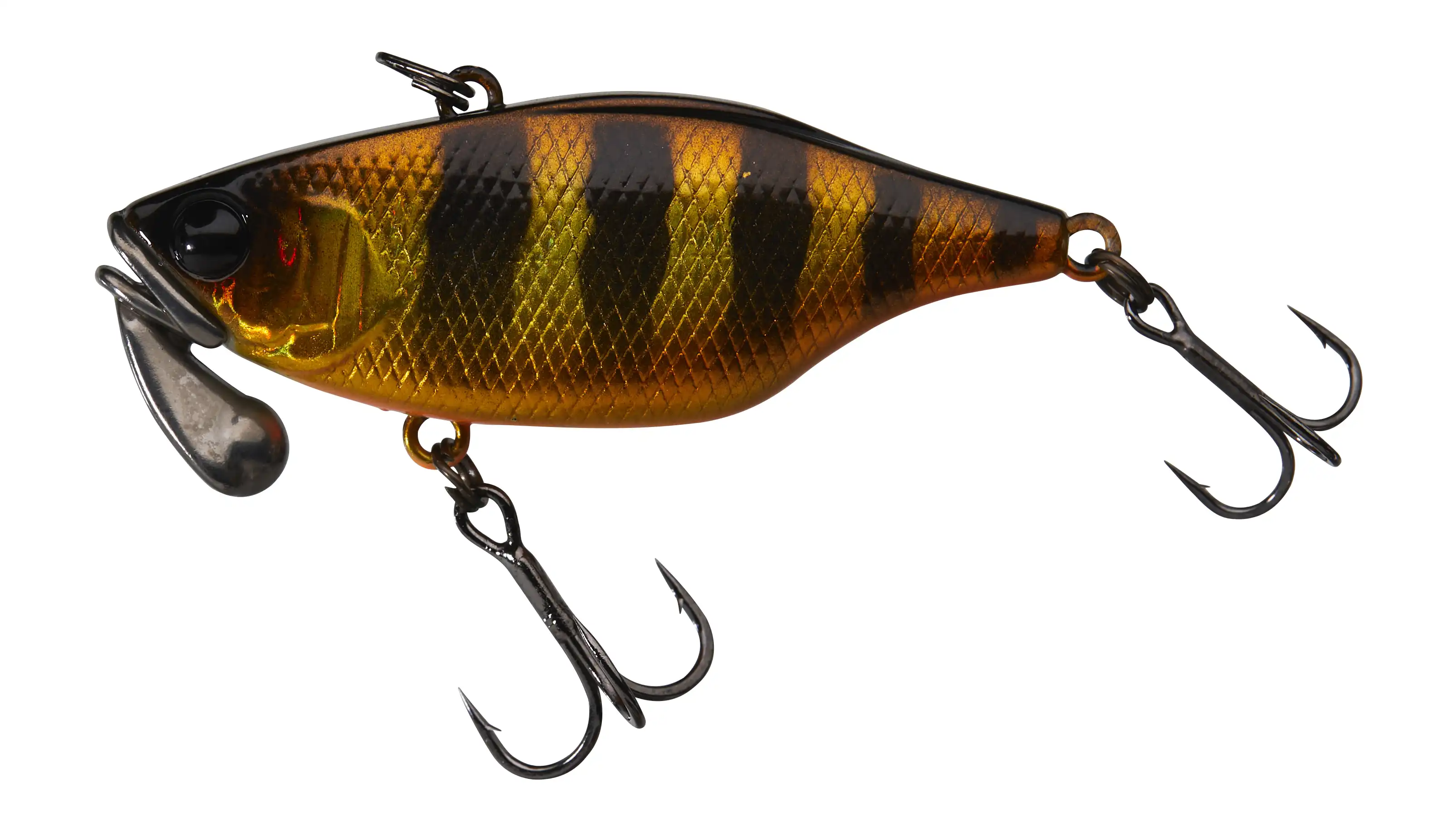 Aurora Black&Gold