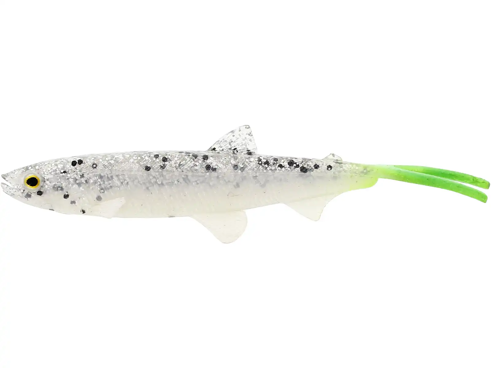Green Tail Shiner