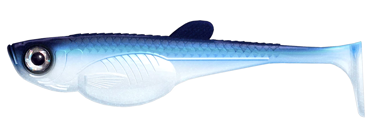 #003 Blue Whitefish