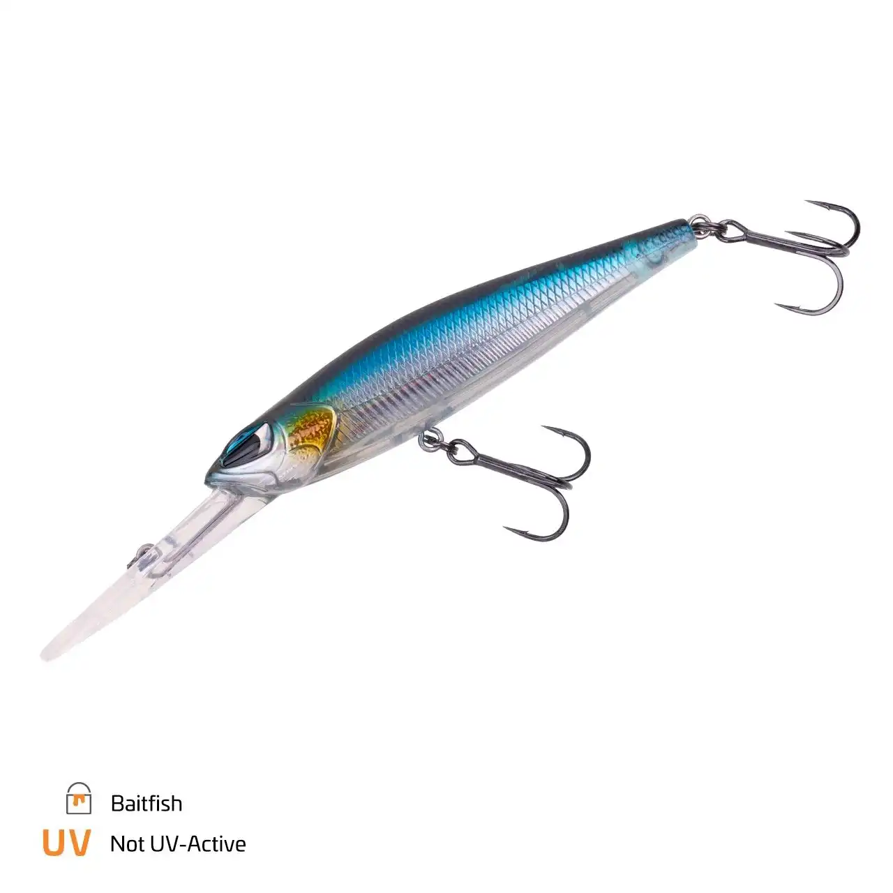 Baitfish