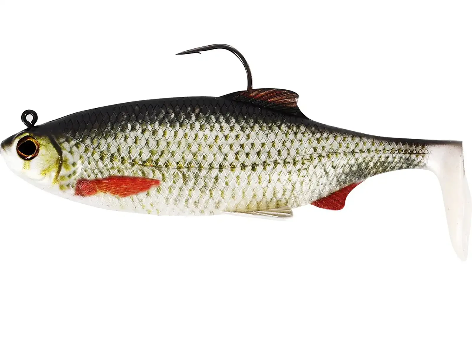Tl Roach Rocking R Brand Westin Ricky the Roach Shadtail R 'N R 2,8'' 9g Real Roach │ Gummifische