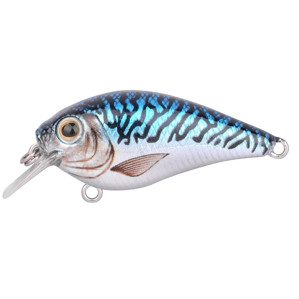 Mackerel
