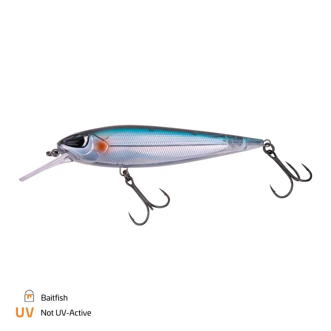 Baitfish