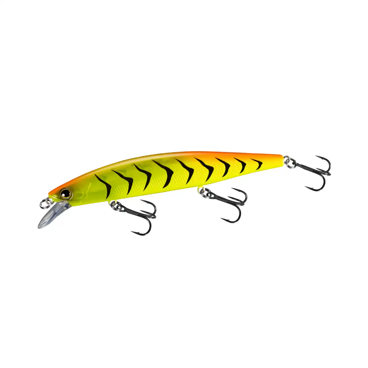 016 Hot Tiger