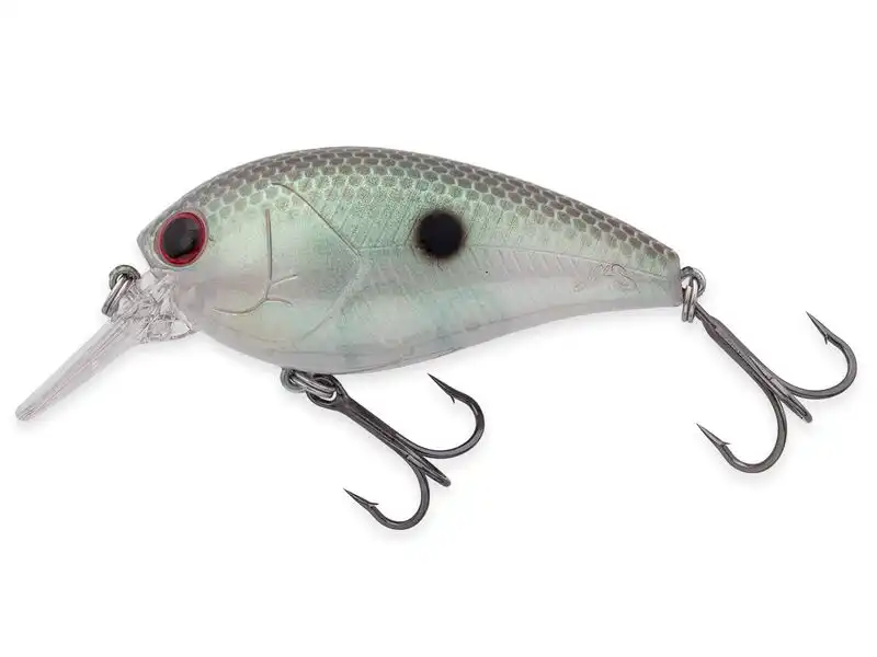 Pearl Green Shad