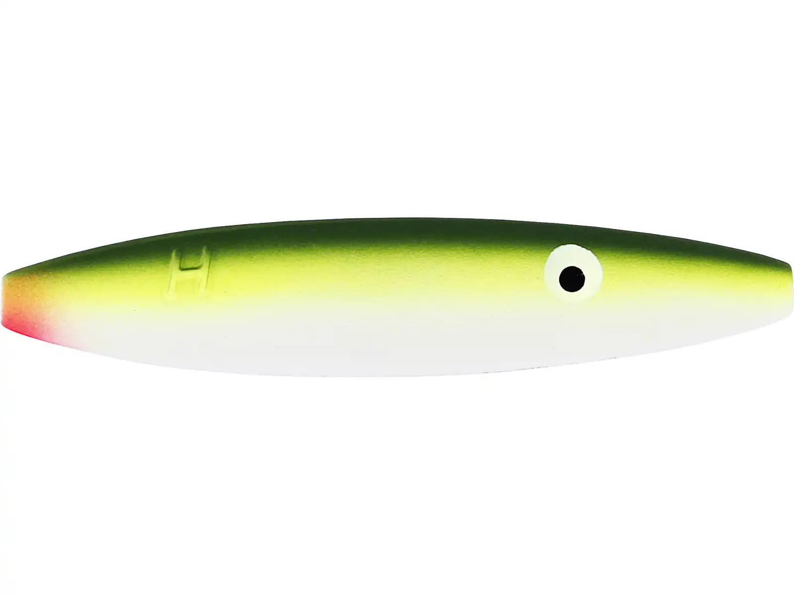 Salmo Trutta