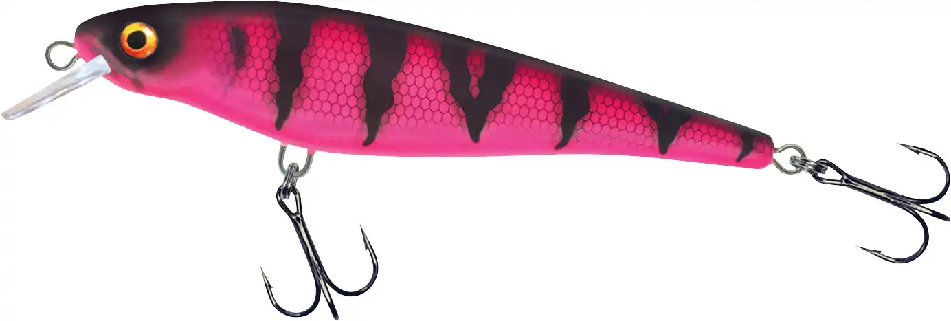 Pink Perch