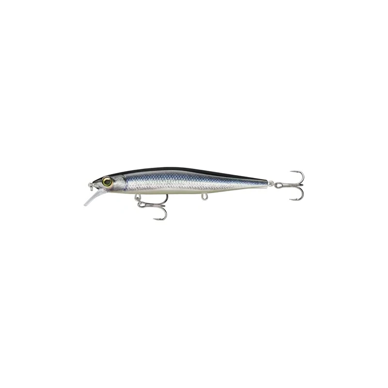 Sardine