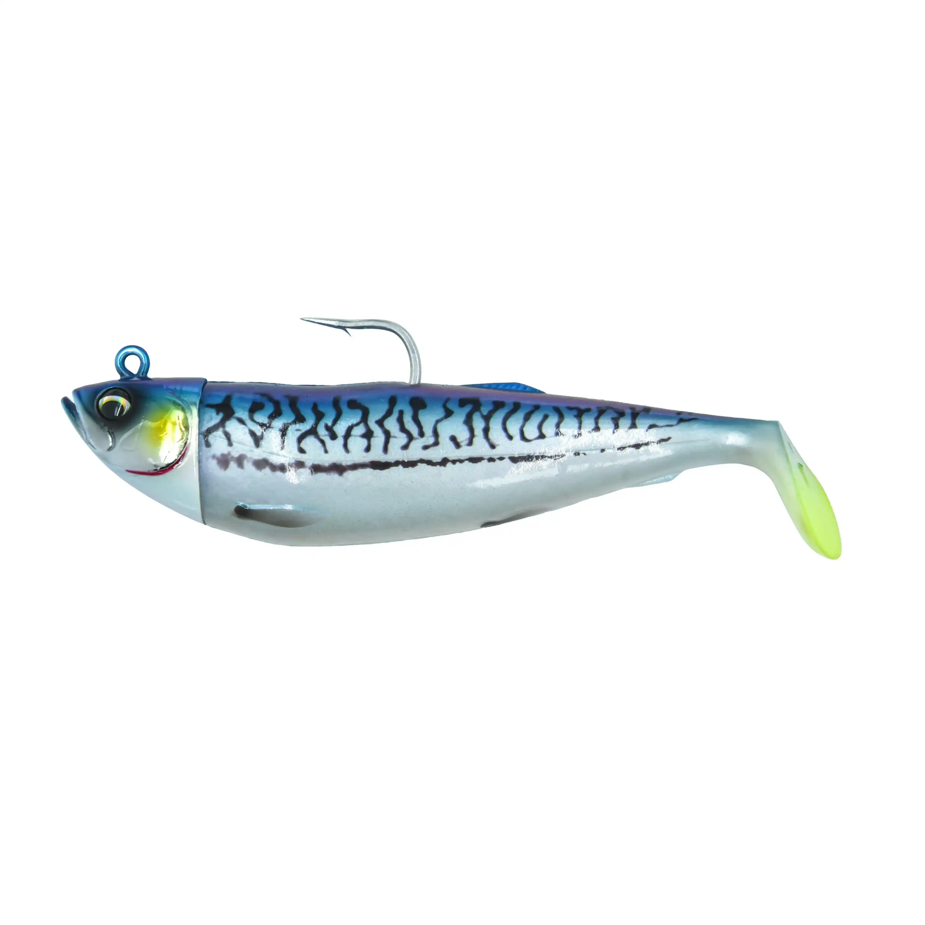 Nlue Mackerel