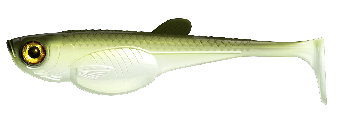 #031 Olive Whitefish