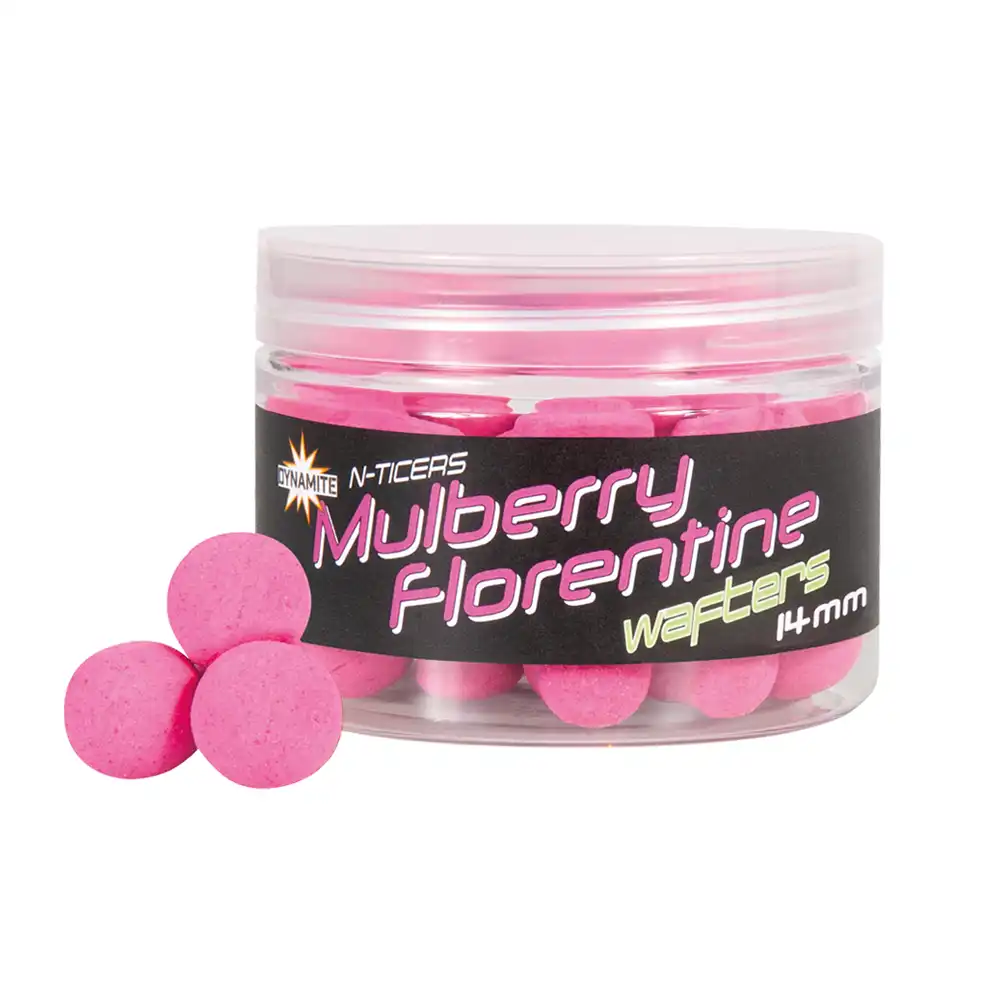 Mulberry Florentine