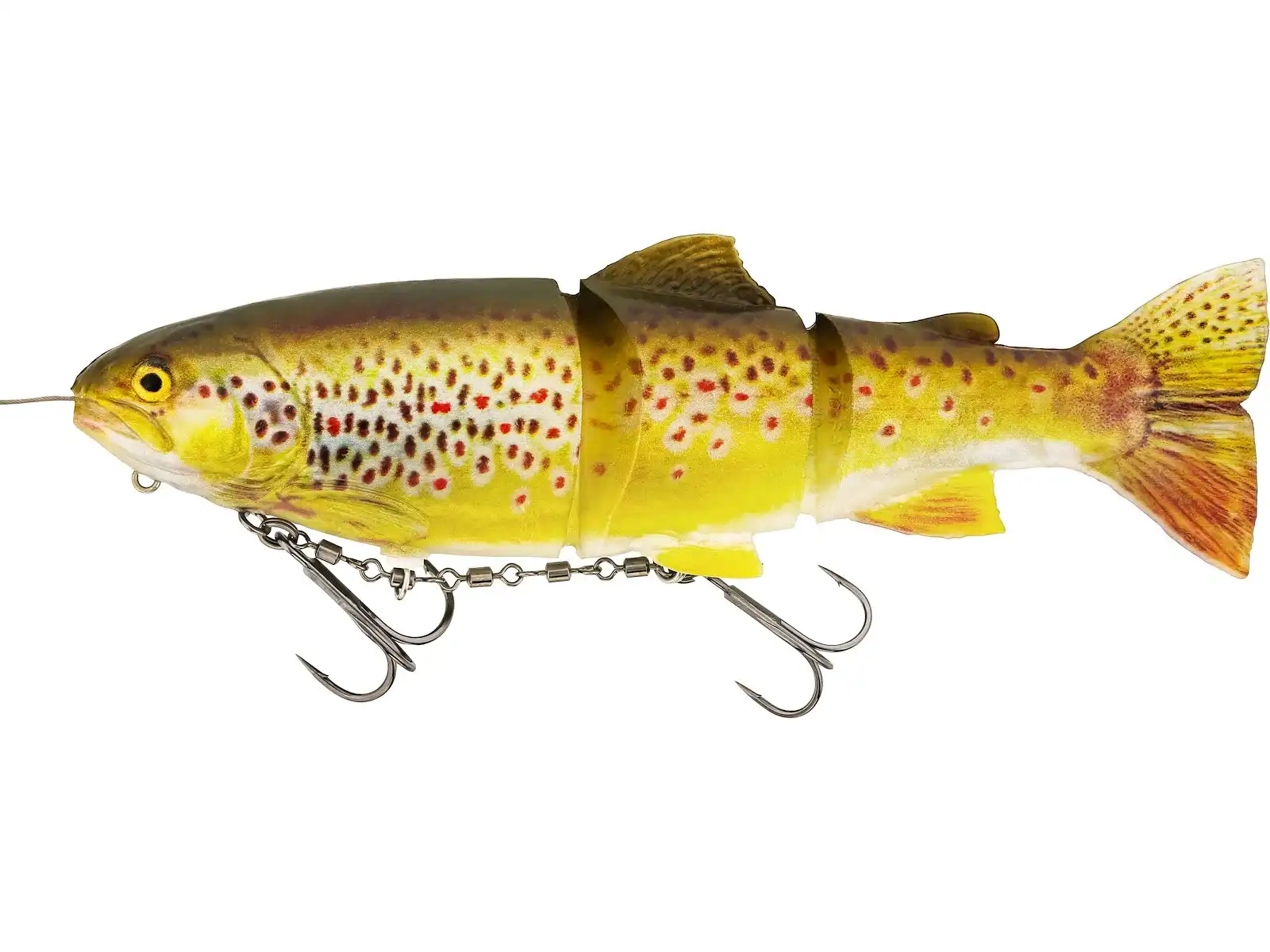 Real Trout