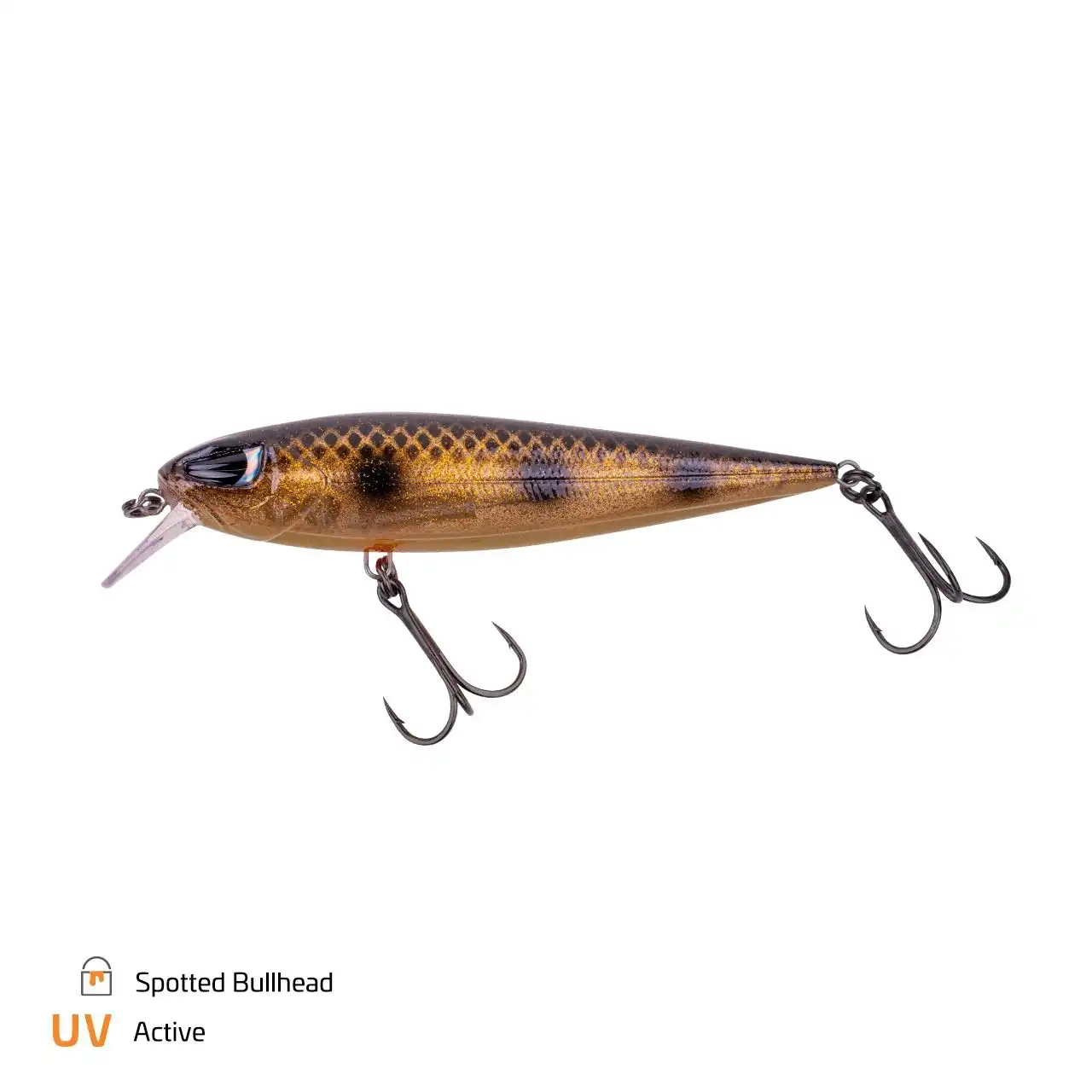 Spotted Bullhead