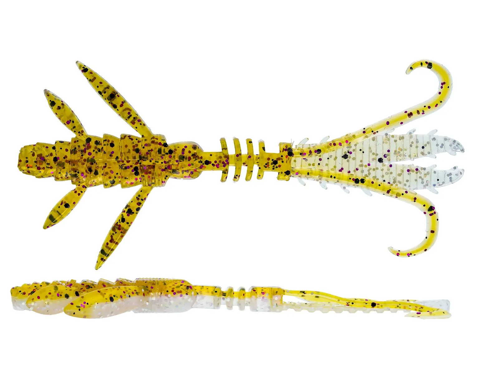 Violett Goby