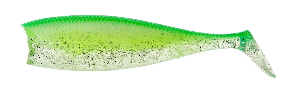 Carribean Shad