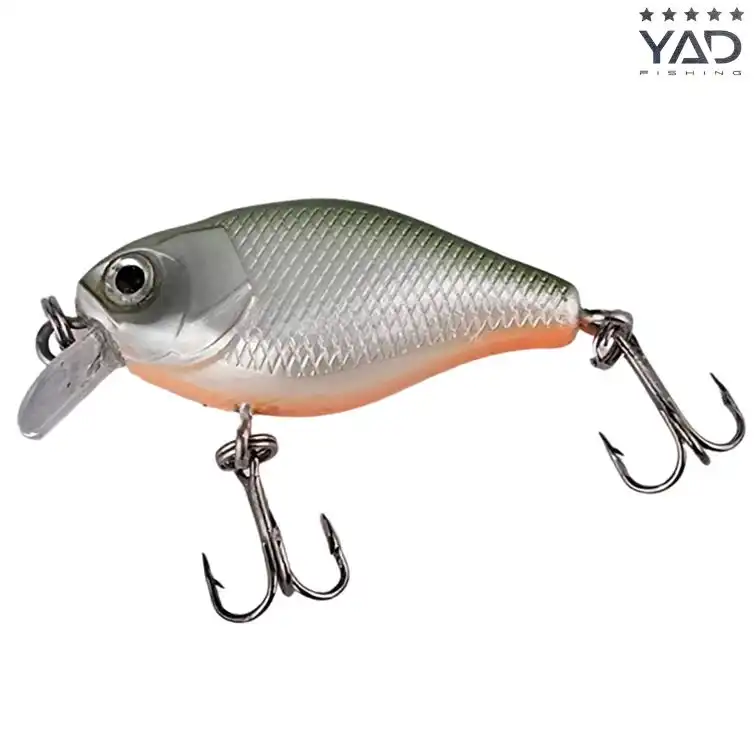 Fish Belly White Green