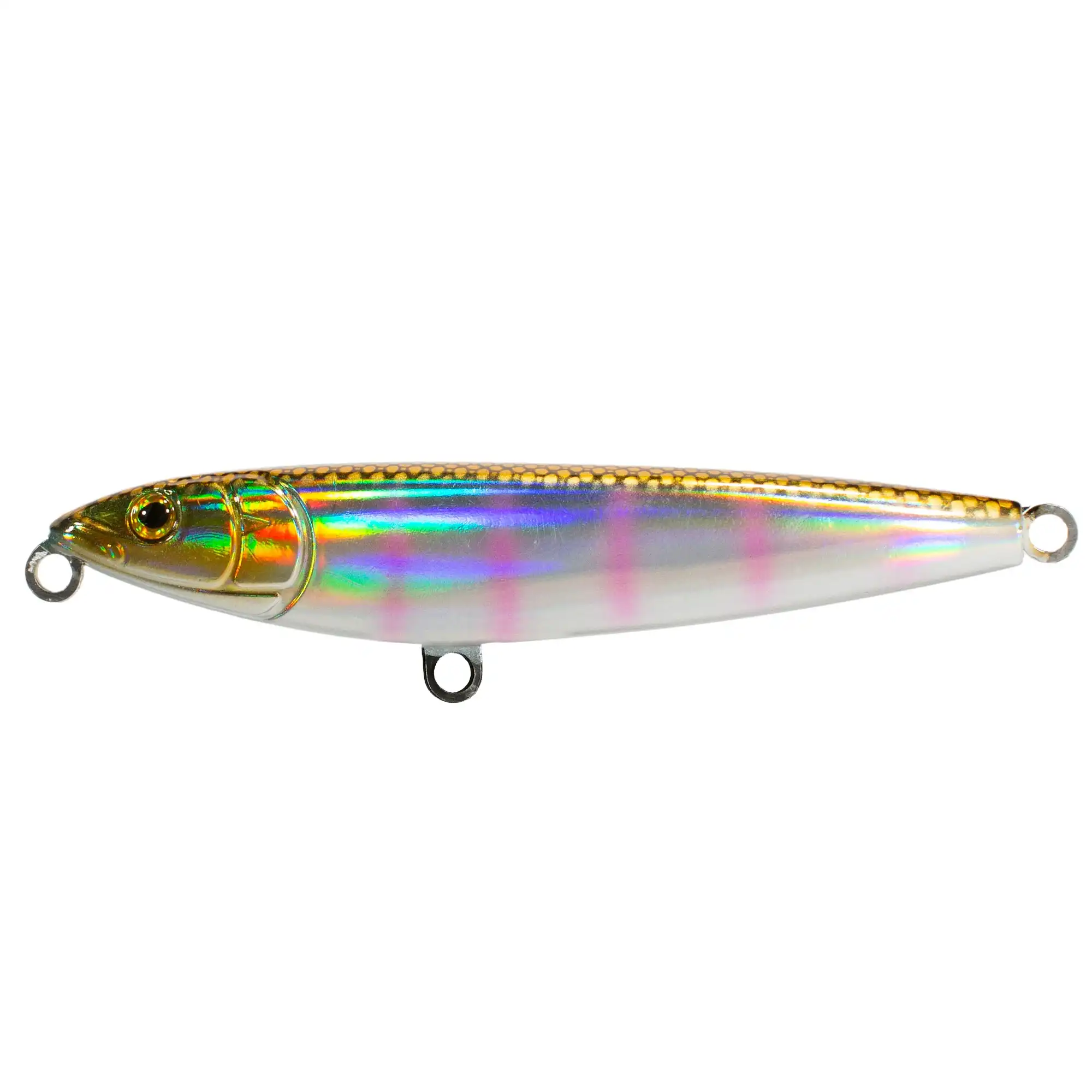 BF Tuna