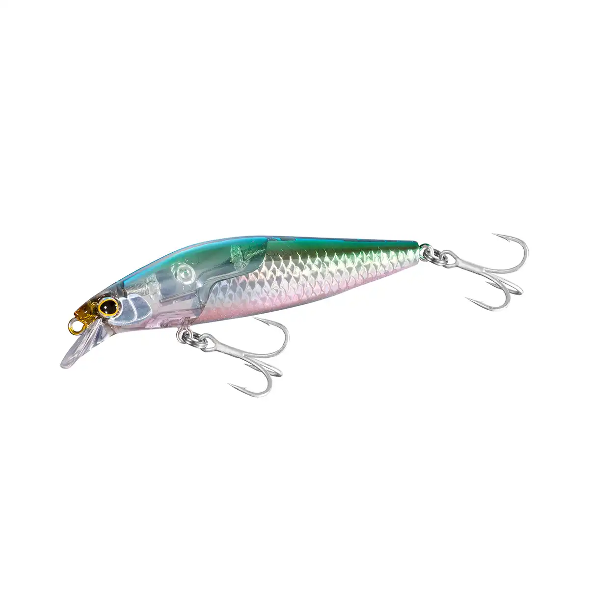 007 N Anchovy