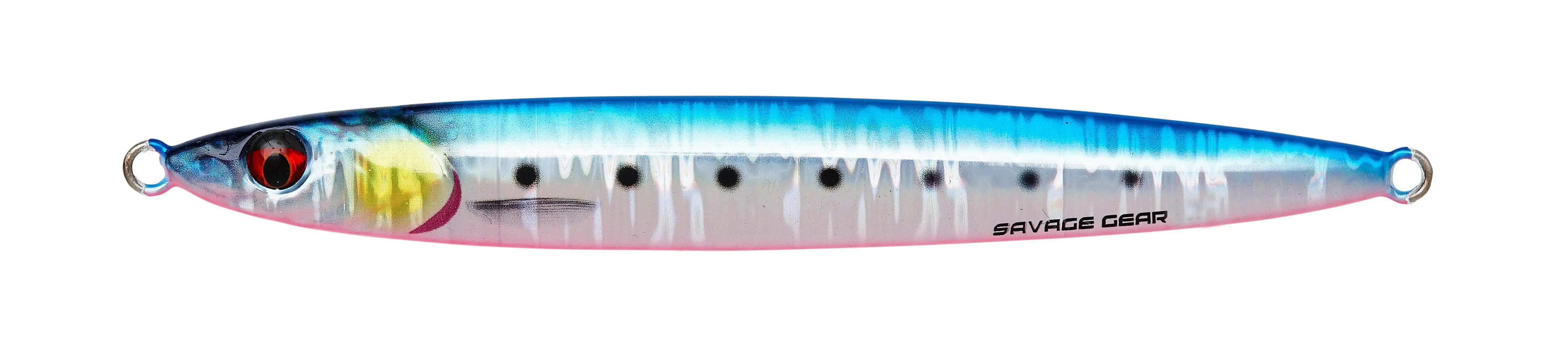 Pink Belly Sardine PHP