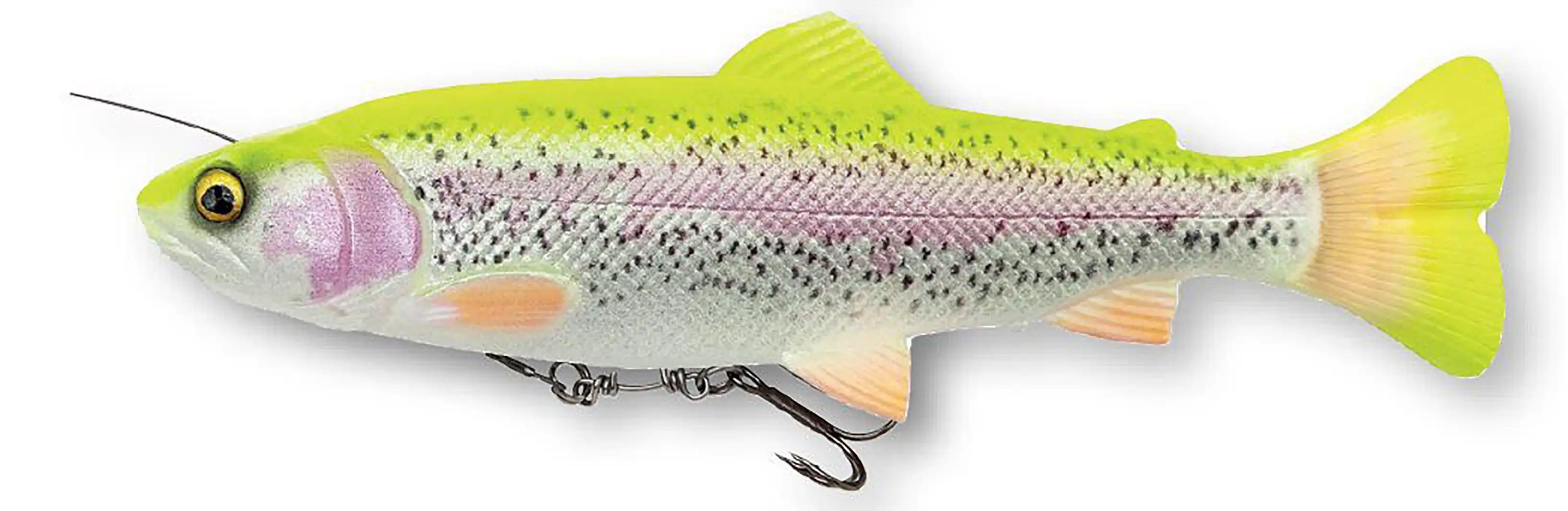 Lemon Trout