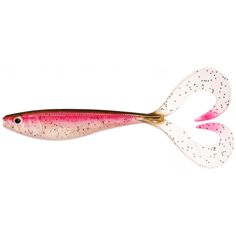 Live Rainbow Trout