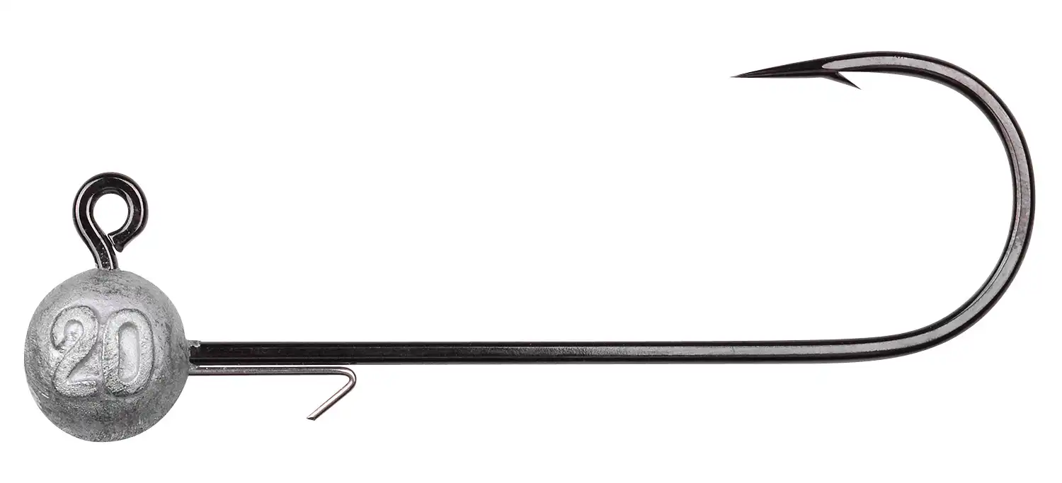 20 g