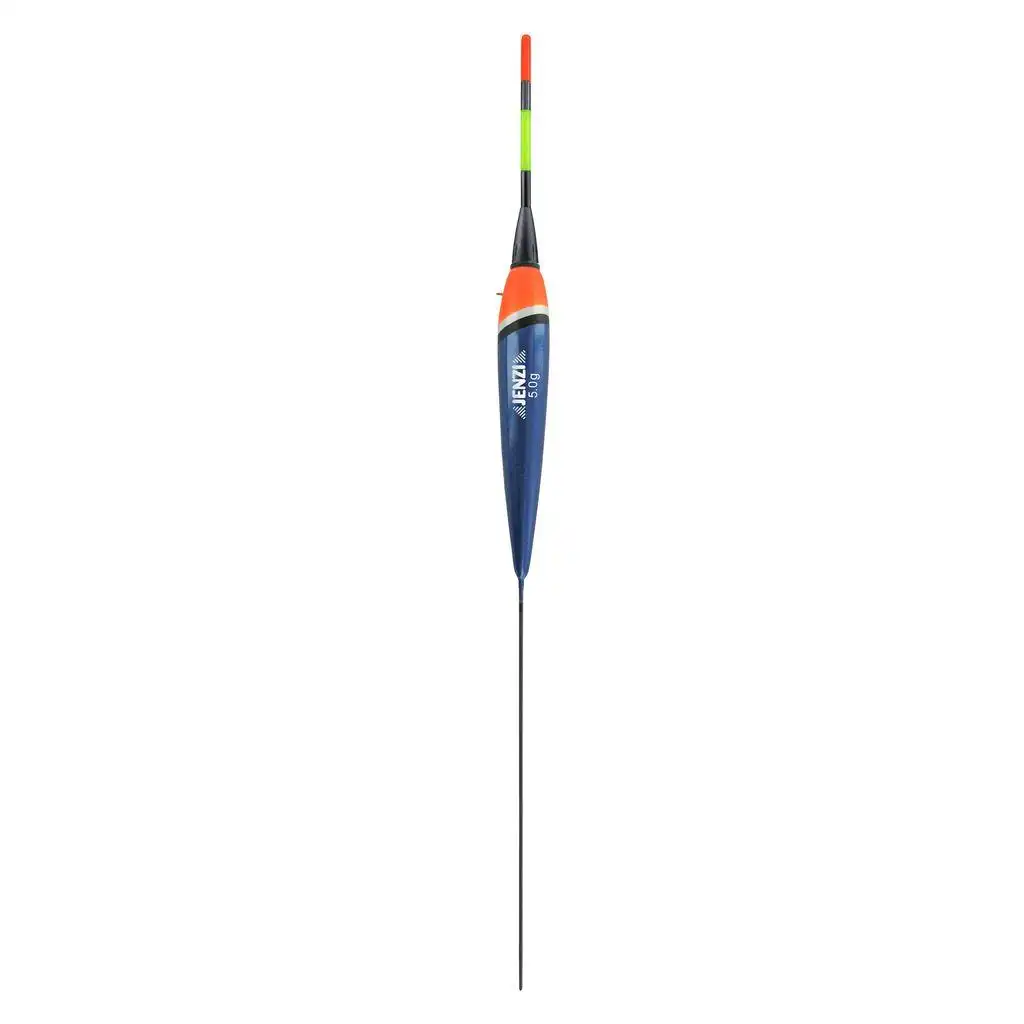 5,00 g