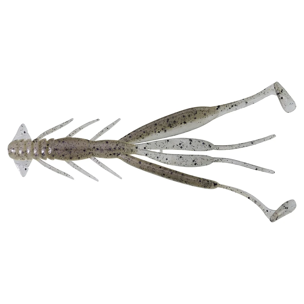 Eating Striped Shrimp