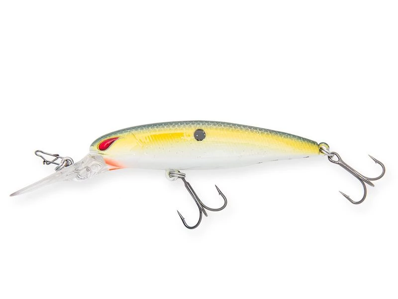 Sexy Shad