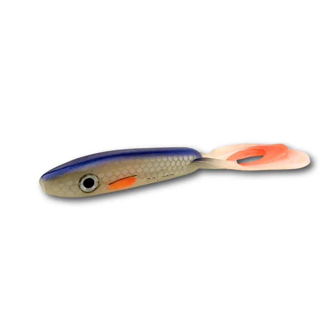 Whitefish