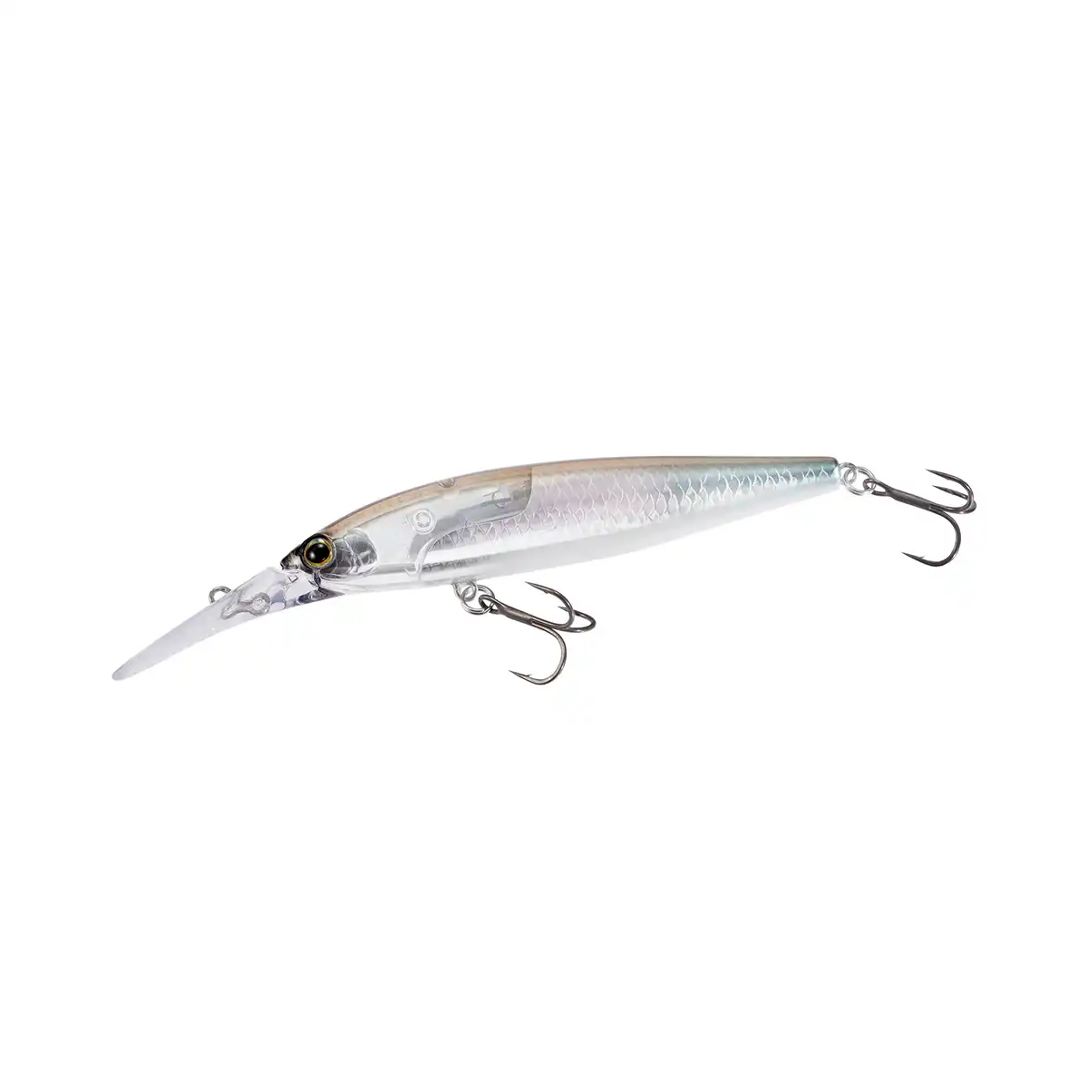 004 N Smelt