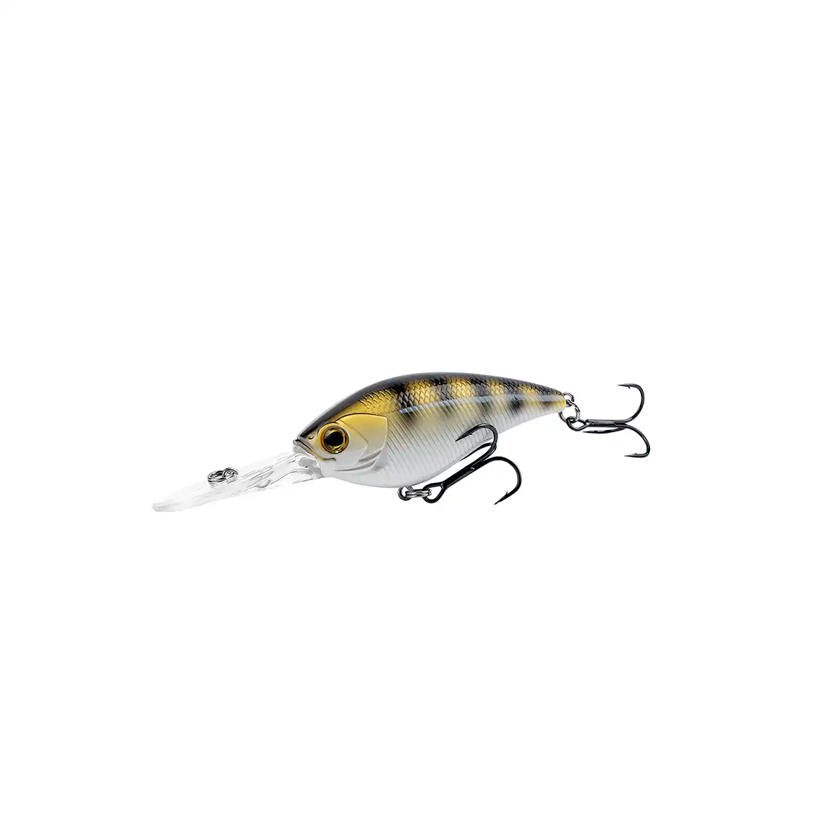008 Zander