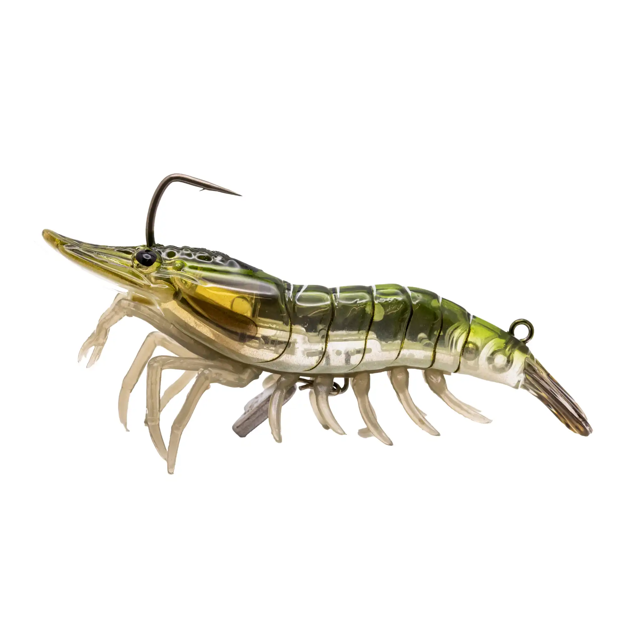 Glass Shrimp