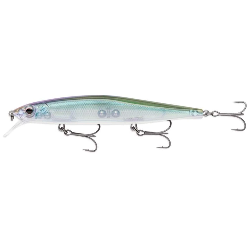 Ghost Sardine