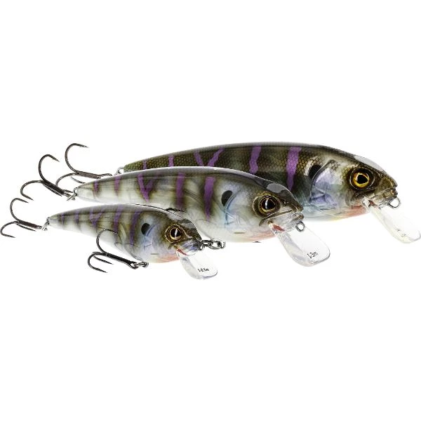 Crazy Bluegill