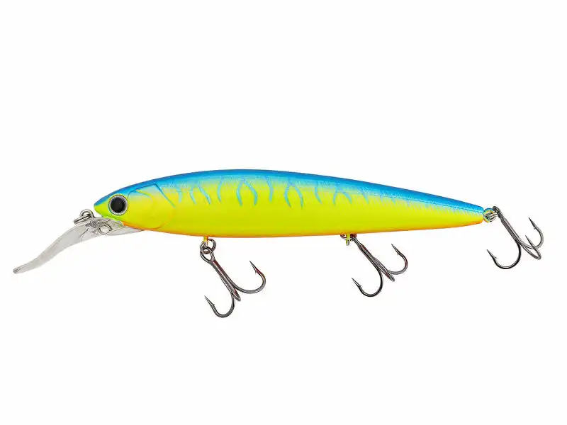 Blue Chart Tiger