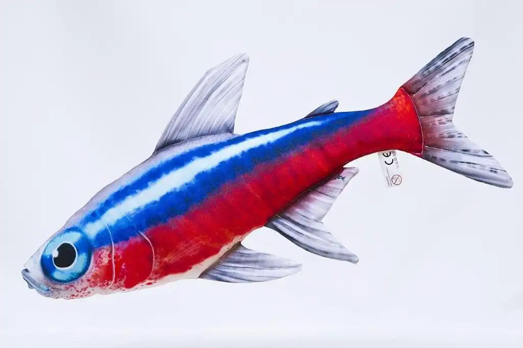 Gaby Pike 80cm