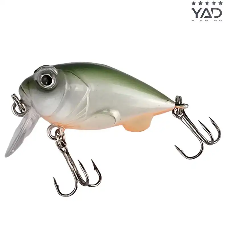 Fish Belly White Green