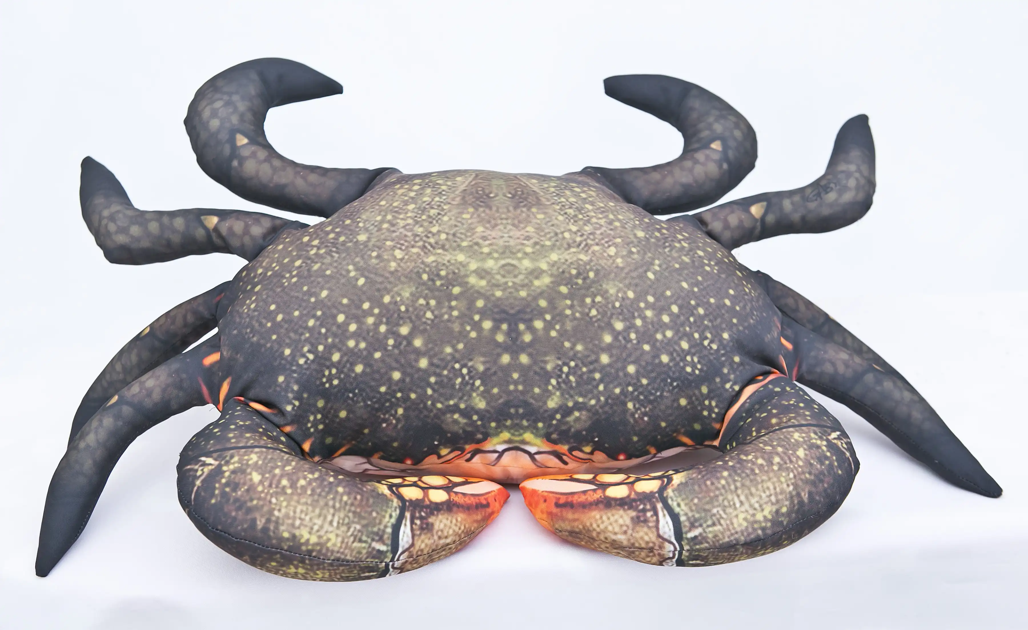 Gaby Mud Crab