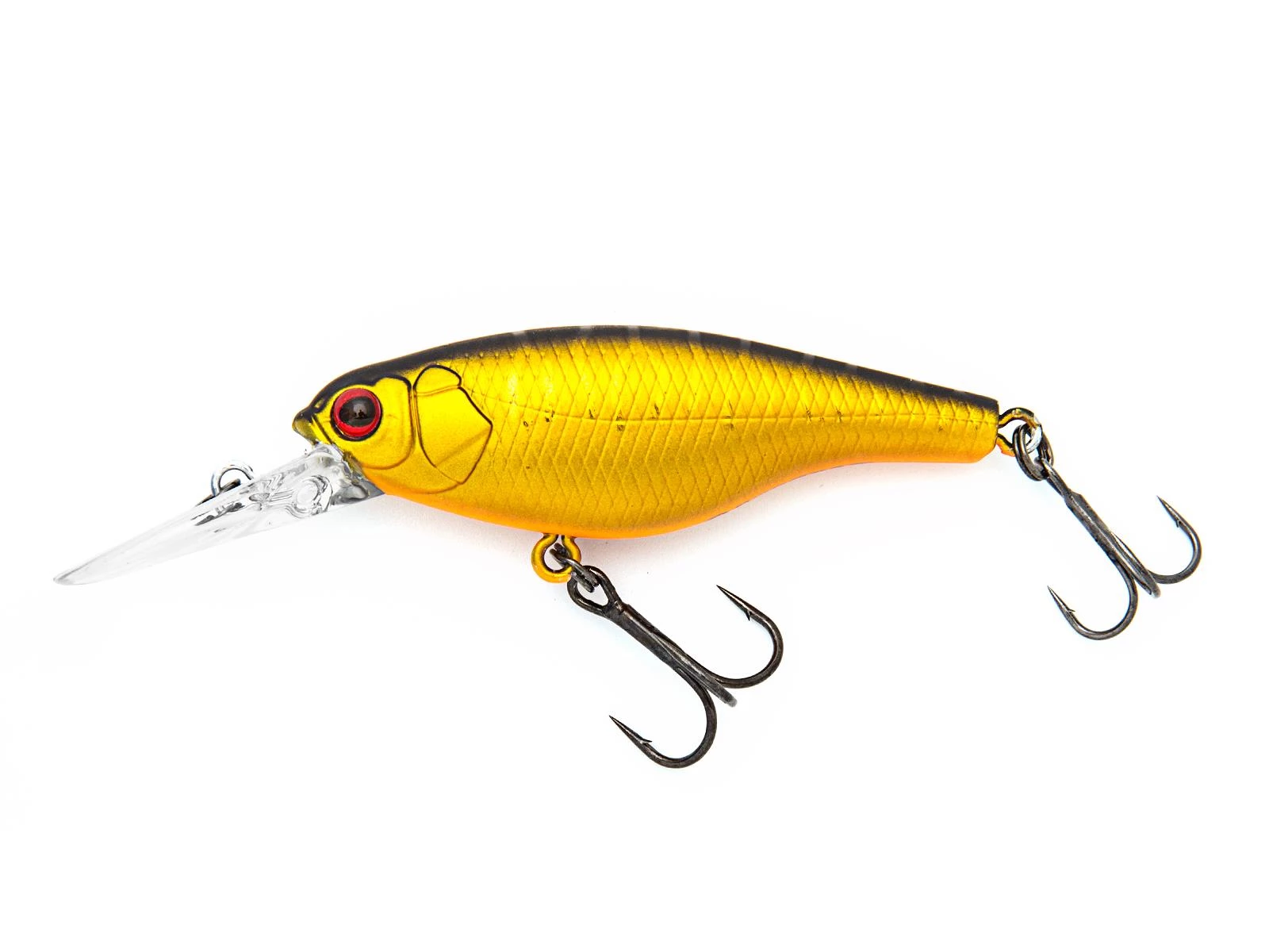 Golden Shad