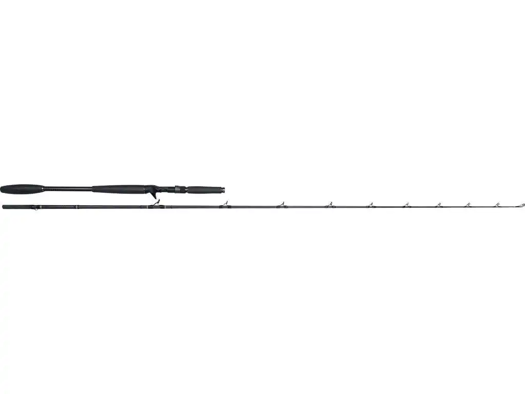 Westin W10 Monsterstick-T 5XH 2,33m 120-260g