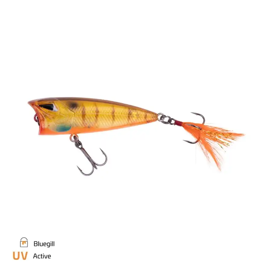 Bluegill