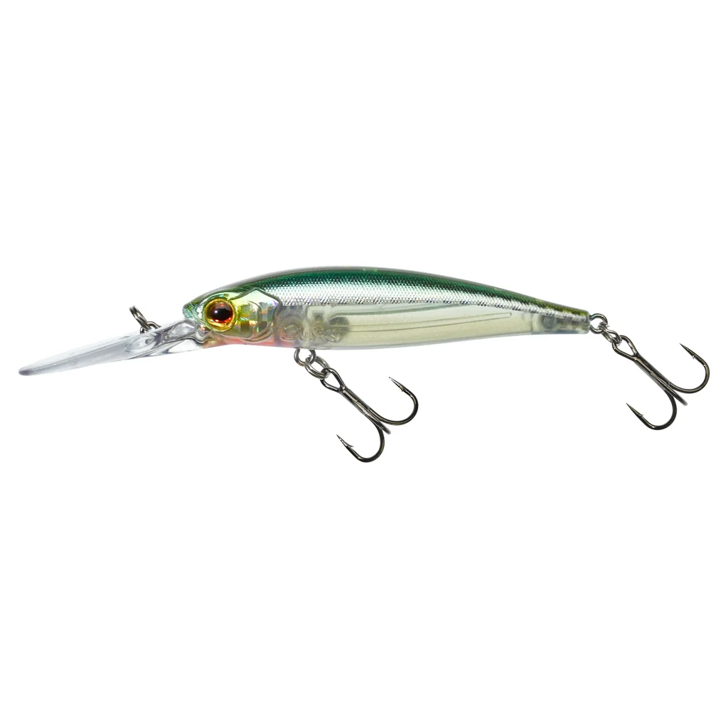 HL Minnow