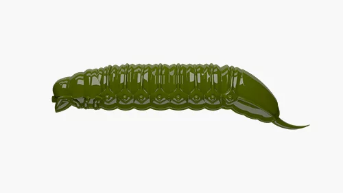 #031 olive