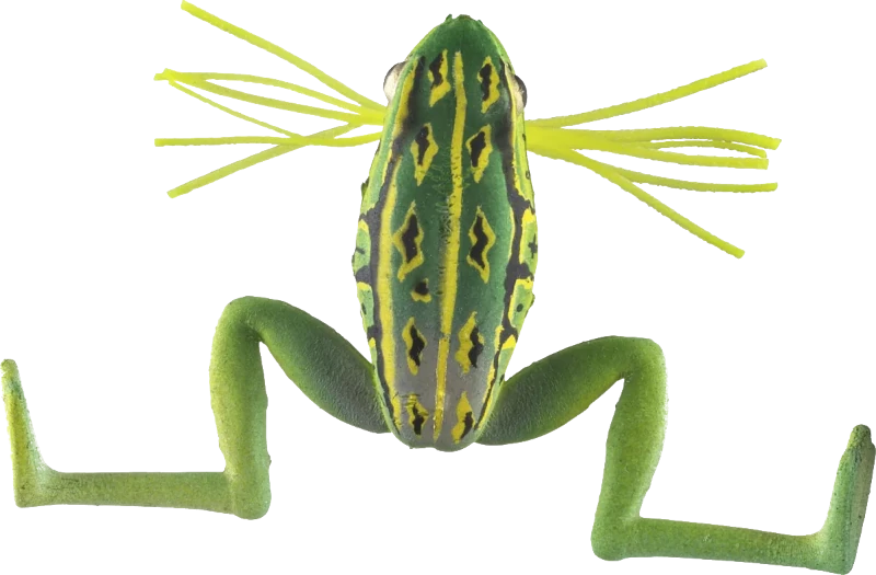 Green Toad