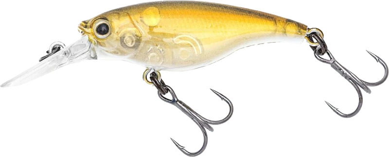 Gold Shiner