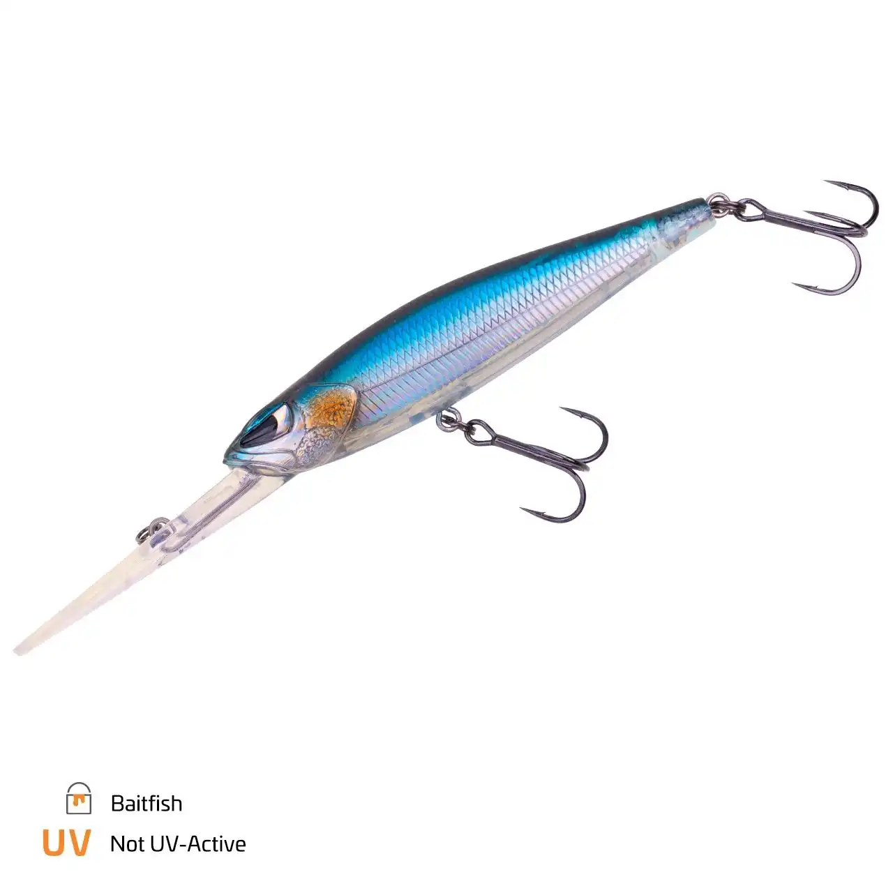 Baitfish