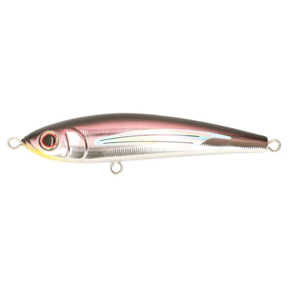 Anchovy - G